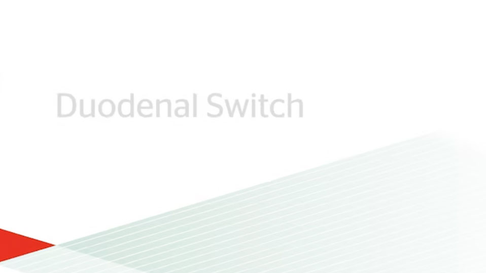 duodenal-switch